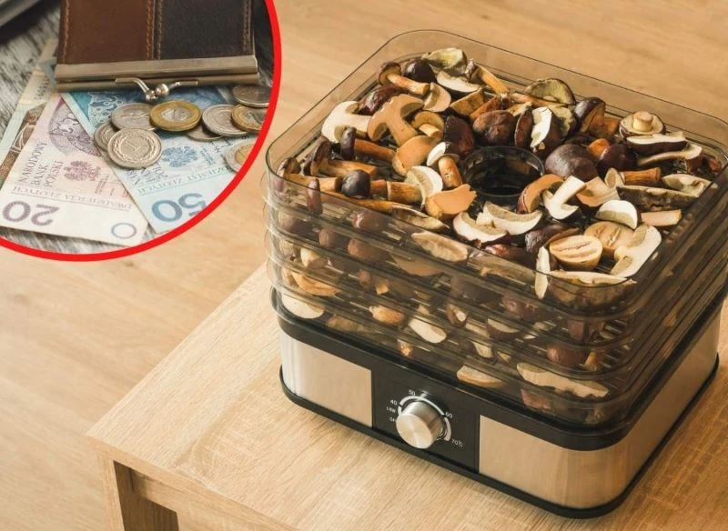 Sprawdź, jak suszyć grzyby, by za