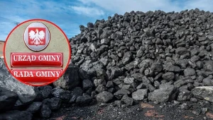Chcesz kupić tani węgiel od gminy? Nie każdy może to zrobić. Fot. East News Wojciech Strozyk/Reporter, M.Lasyk/Reporter