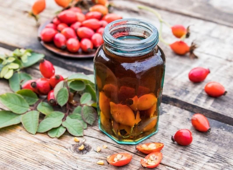 Nalewka z dzikiej róży pomoże wzmocnić odporność