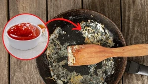 Sprawdźcie domowe metody usuwania tłuszczu i zabrudzeń z patelni. Fot. 123RF.com/Canva Pro: Langan