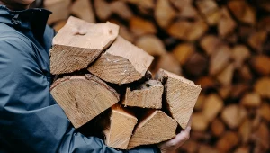 Ceny drewna opałowego są zróżnicowane i zależą głównie od nadleśnictwa oraz gatunku drewna.