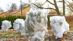 Agrowłóknina to skuteczny sposób na chwasty i ochronę roślin przed mrozem.