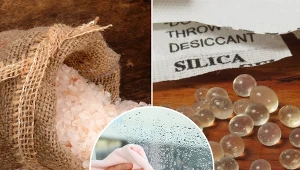 Wilgoć w mieszkaniu najczęściej uwidacznia się jesienią.