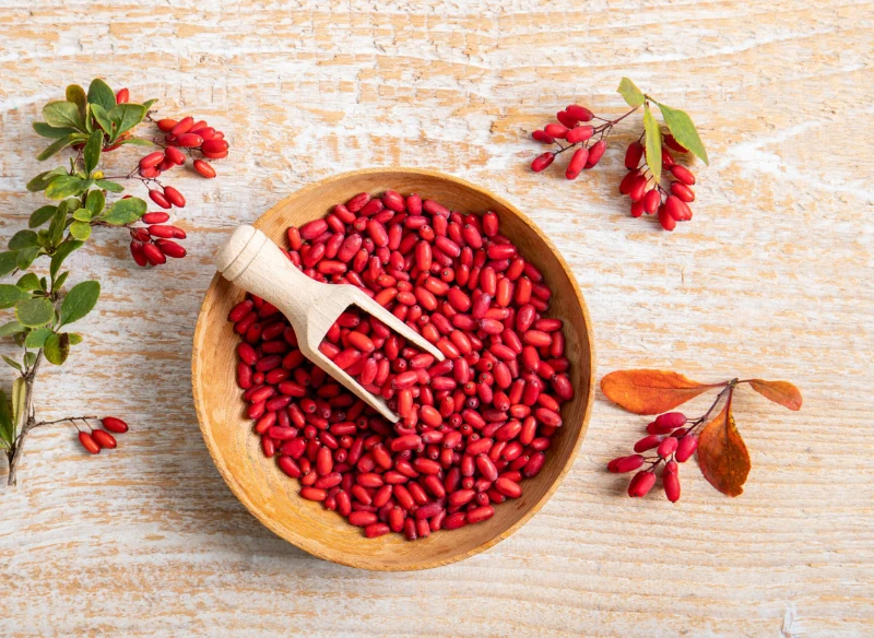 Owoce berberysu pomagają w walce z przeziębieniem