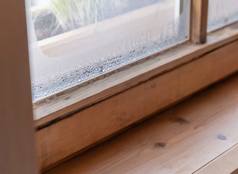 Zbyt duży poziom wilgoci w domu może prowadzić do powstawania pleśni i grzybów