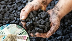 Zapisy na tańszy węgiel już trwają.