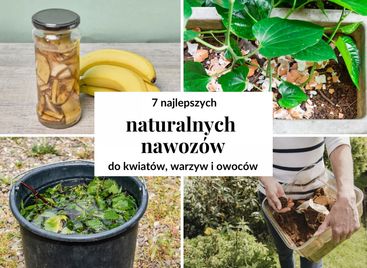 nawozy naturalne