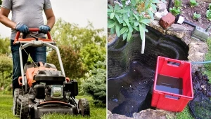 Listopad w ogrodzie to czas ostatnich prac i porządków przed zimą. Jak odpowiednio zadbać o swój ogród?
