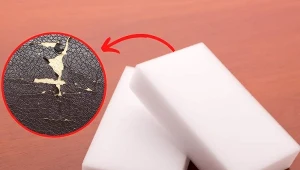 W czym tkwi fenomen magicznej gąbki?