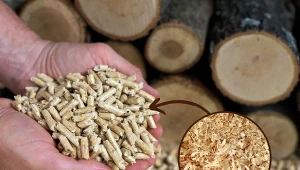 Pellet z trocin robi się bardzo łatwo i szybko. Sprawdź, jak wygląda własna produkcja pelletu z drewna odpadowego.