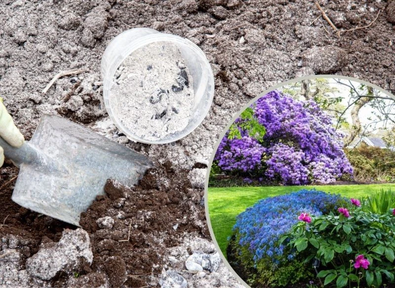 Zastanawiasz się, jaki skład ma popiół z pelletu i co dobrego może przynieść twoim roślinom