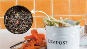 Kompostownik kuchenny to świetny sposób na redukcję odpadów organicznych.