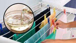 Jak pozbyć się zapachu stęchlizny z ubrań? Sprawdź te triki!