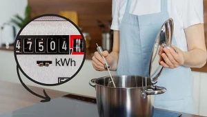 To, ile kosztuje używanie płyty indukcyjnej, zależy od mocy urządzenia czy sposobu jej używania.