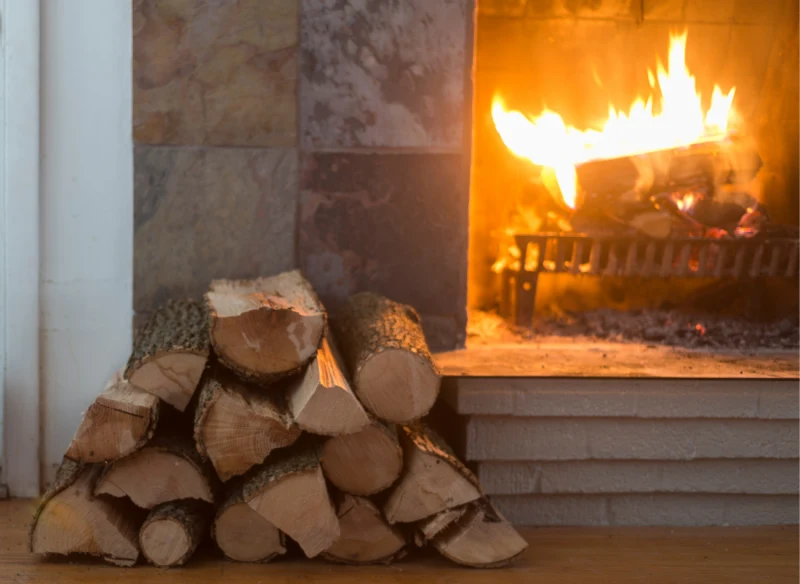 Drzewo olchowe zastosowanie - do kominka, do wędzenia