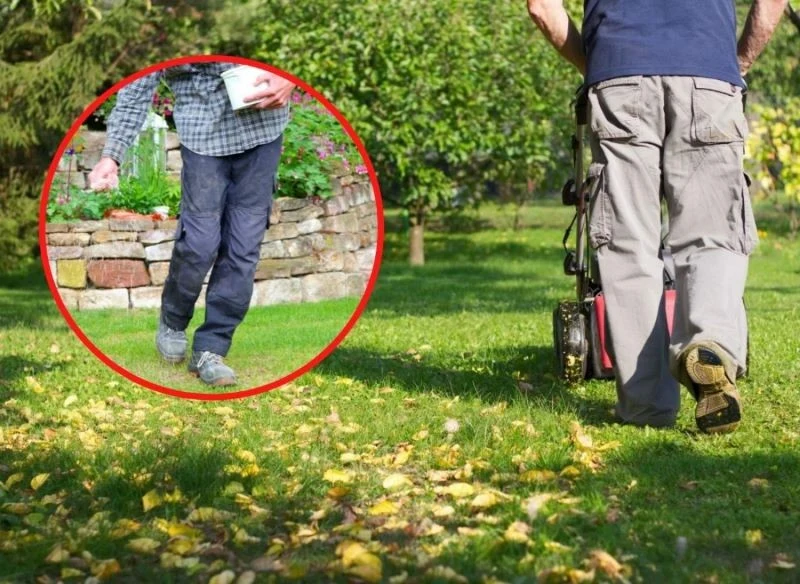 Jak należy zadbać o trawnik przed zimą