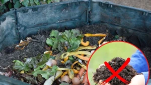 Wykorzystaj w swoim ogrodzie kompostownik jako źródło darmowego, ekologicznego nawozu!