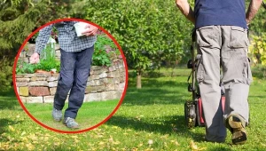 Jak należy zadbać o trawnik przed zimą? Sprawdźcie! Fot. 123RF.com/Canva Pro