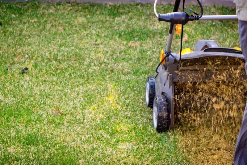 Wertykulacja i aeracja to możne zabiegi, które warto wykonać jesienią