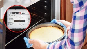 Ile kosztuje godzina pieczenia w piekarniku? Sprawdź, jak to obliczyć.