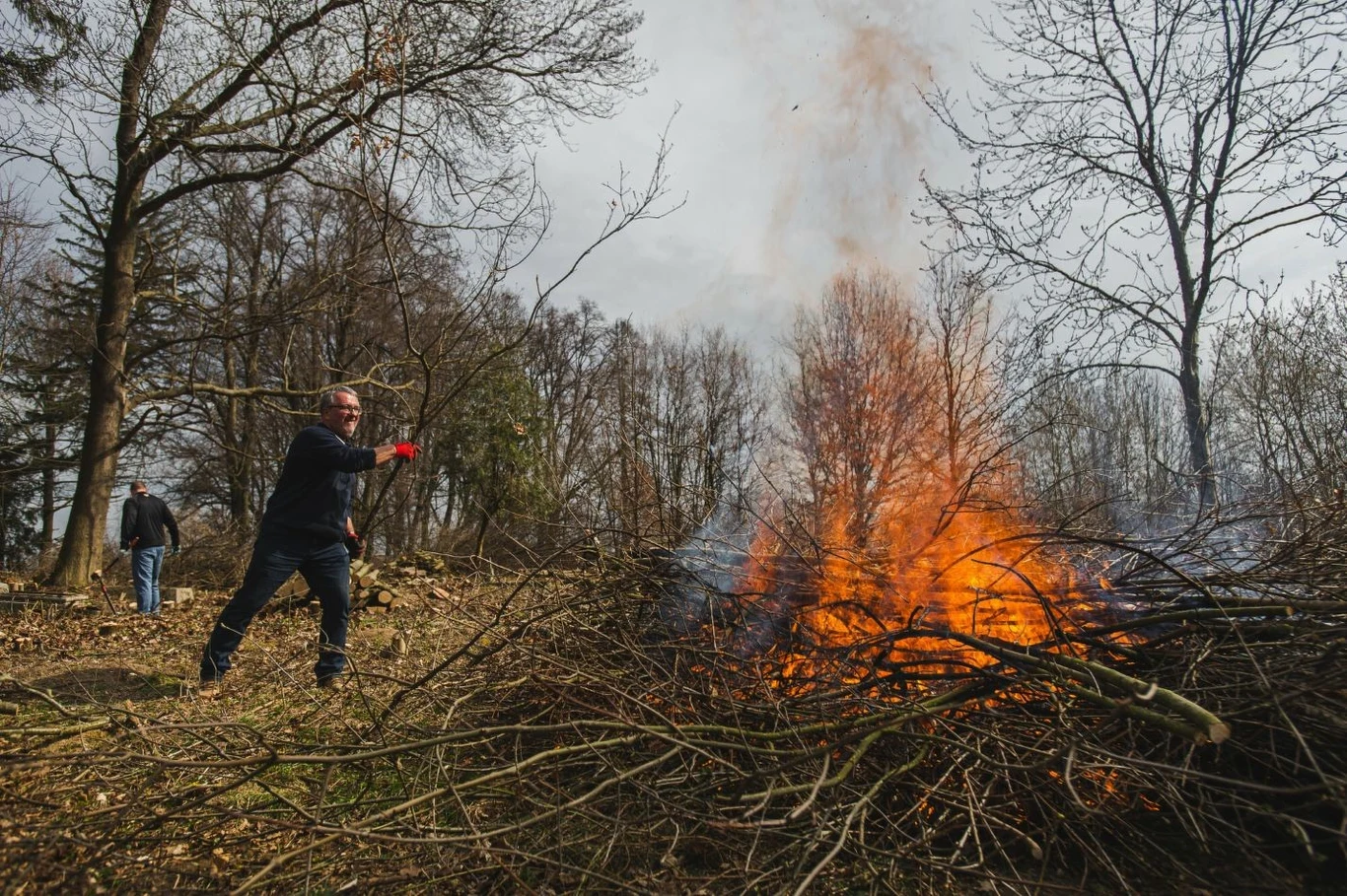 Palenie liści i gałęzi jest zabronione na prywatnych posesjach
