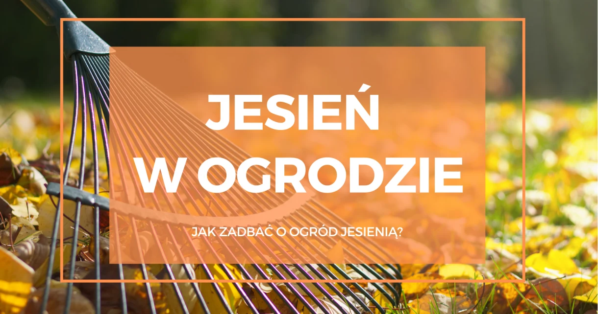 jesień w ogrodzie