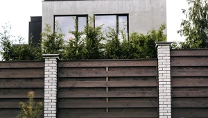 Sadzenie drzew przy granicy działki często bywa powodem konfliktów z sąsiadami.