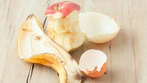 Z odpadków kuchennych można zrobić pożytek.