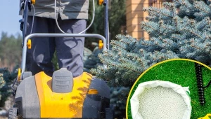 Twoja trwa będzie piękna na wiosnę, pod warunkiem, że teraz zrobisz ten zabieg.