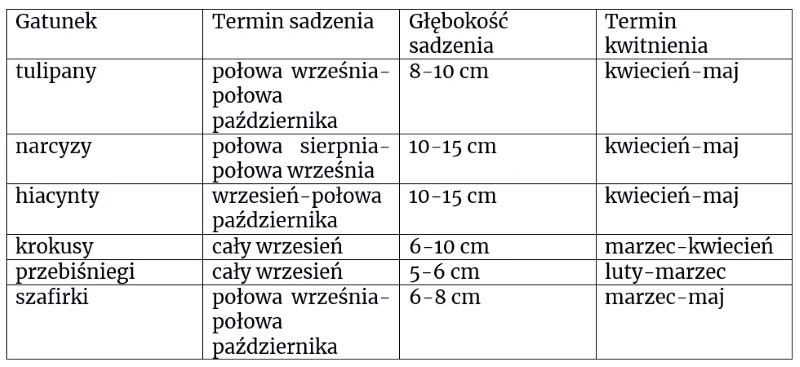jakie kwiaty cebulowe sadzimy jesienią