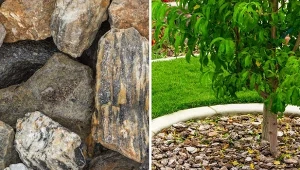 Kora kamienna to bardzo wytrzymały materiał.