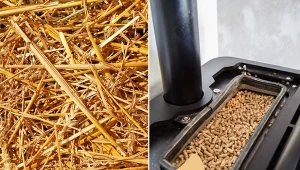 Pellet ze słomy to paliwo, które jest produkowane ze słomy, a więc z pozostałości po różnego rodzaju roślinach, np. zboża.