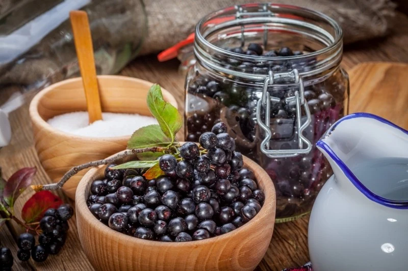 Z aronii można zrobić większość domowych przetworów - nalewkę, dżem, konfiturę czy sok