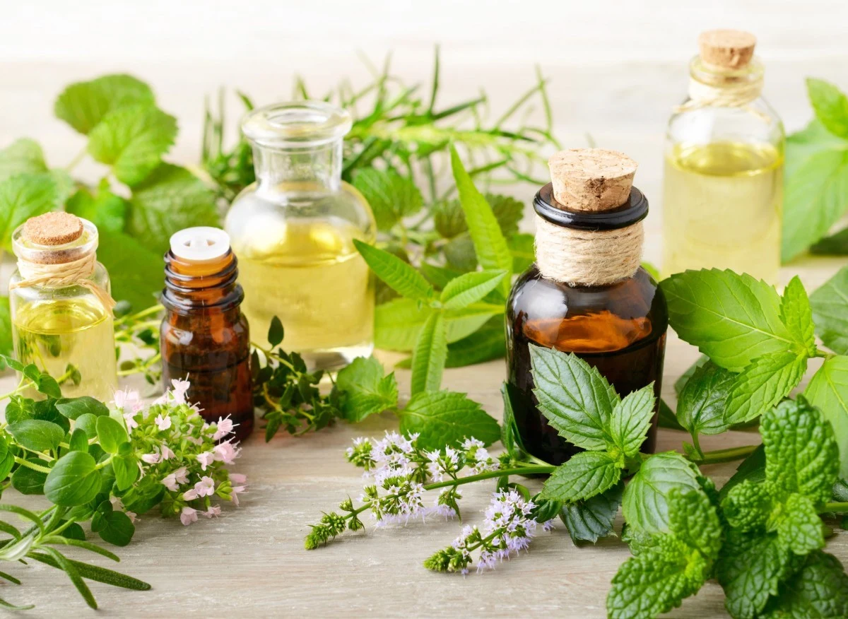 Olejki eteryczne skutecznie odstraszają pająki