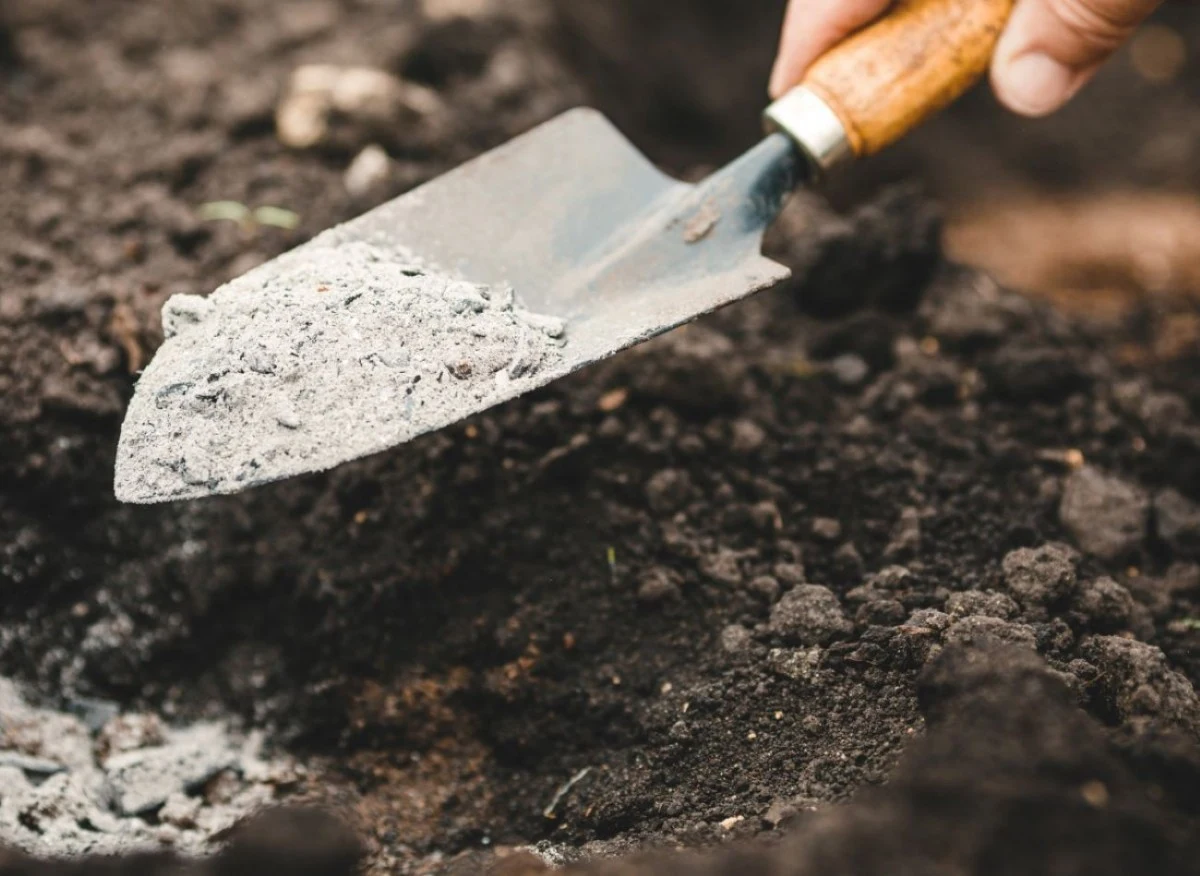 Wapnowanie gleby to ważny zabieg pozwalający podwyższyć odczyn pH gleby zbyt kwaśnej, a także uzupełnić w glebie niedobory wapnia przyswajalnego dl...