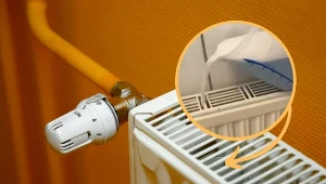 Zapomnij o męczącym czyszczeniu kaloryfera. Ten trik rozpala sieć!  Fot.123RF/Instargam/shoppasel