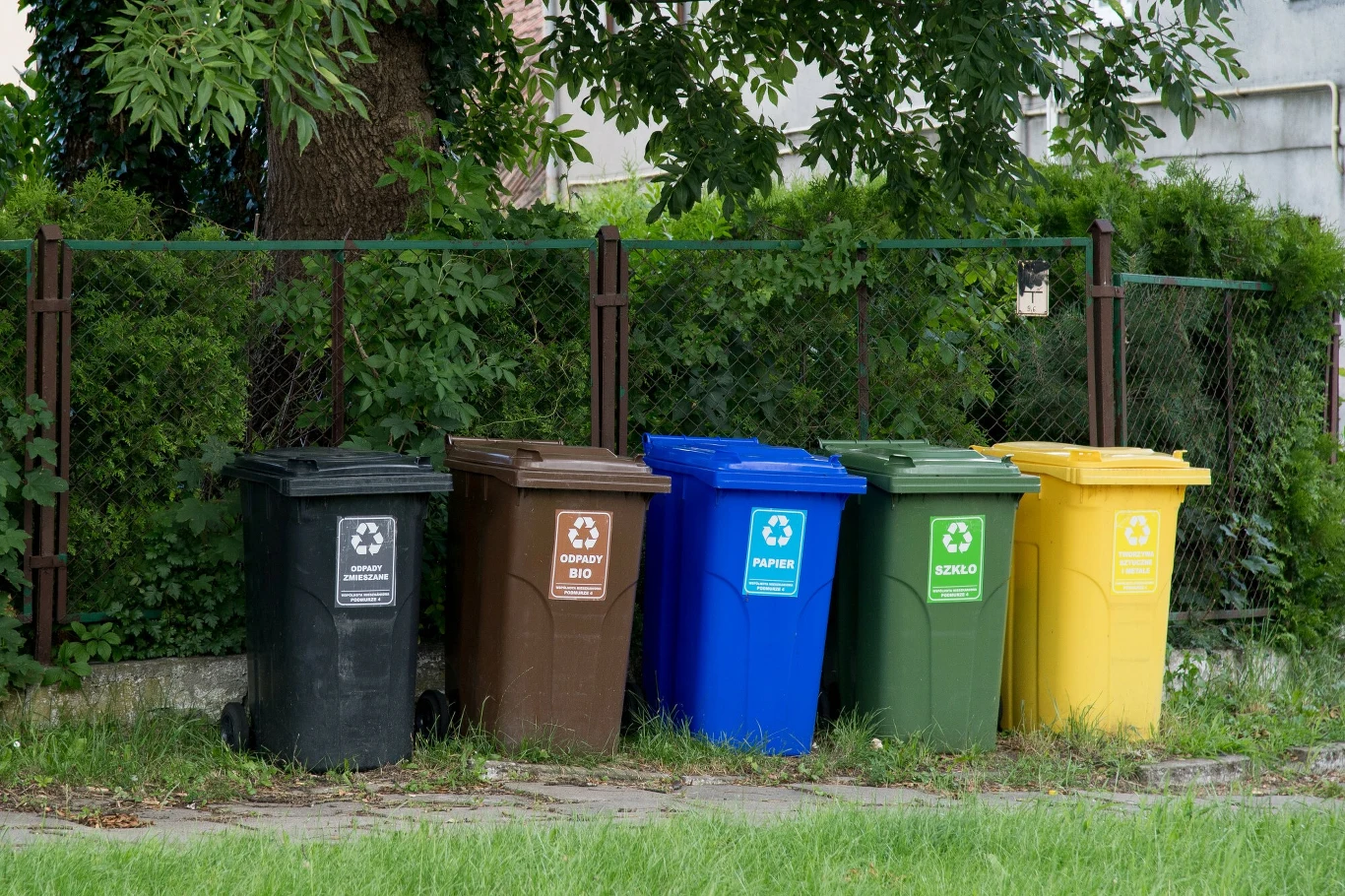 Aby wyczyścić pojemnik na bioodpady, należy na początku wypłukać jego wnętrze letnią wodą, a następnie nanieść na jego ścianki detergent