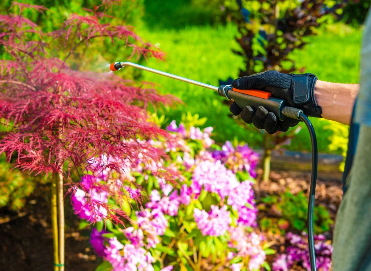 oprysk drzewek w ogrodzie