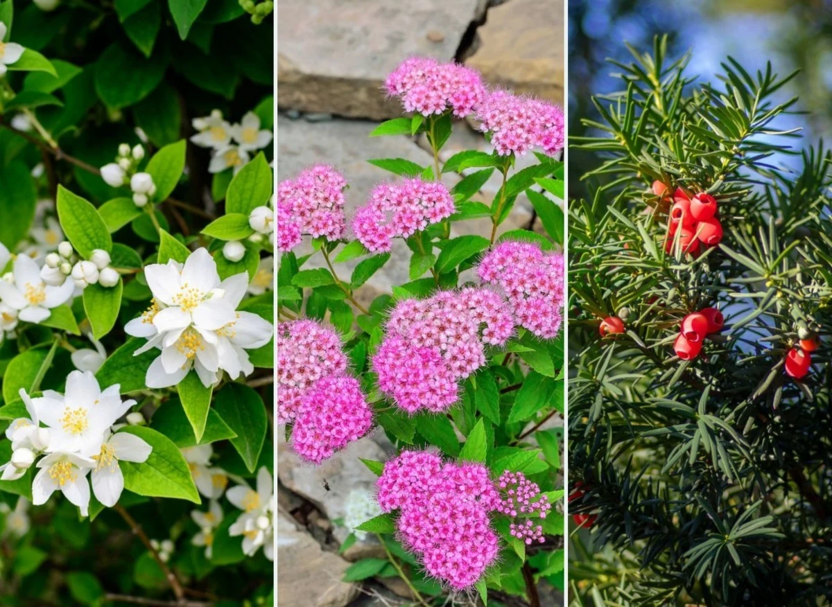 Mały ogród może robić równie duże wrażenie co jego pokaźniejsi „koledzy”