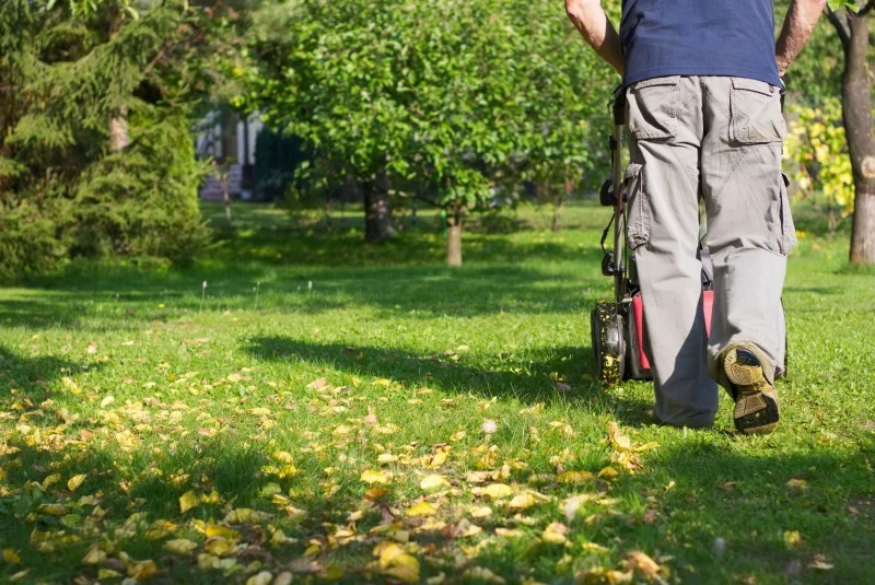 Podczas jesieni nie wolno nam zaniedbywać trawnika