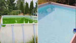 Genialny trik z TikToka podbija internet. Tak skutecznie i tanio wyczyścisz basen./fabrykapasji