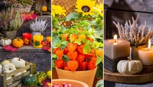 Te pomysły ożywią twój balkon i wprowadzą jesienny klimat.