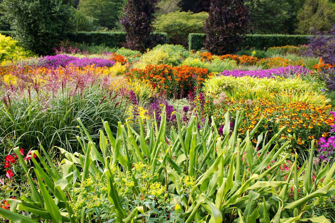 Termin sadzenia bylin uzależniony jest głównie od konkretnego rodzaju tych roślin oraz terminu, na jaki przypada ich kwitnienie