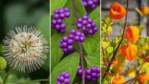 Te rośliny zachwycają swą oryginalnością. O tych gatunkach mogliście nie wiedzieć.
