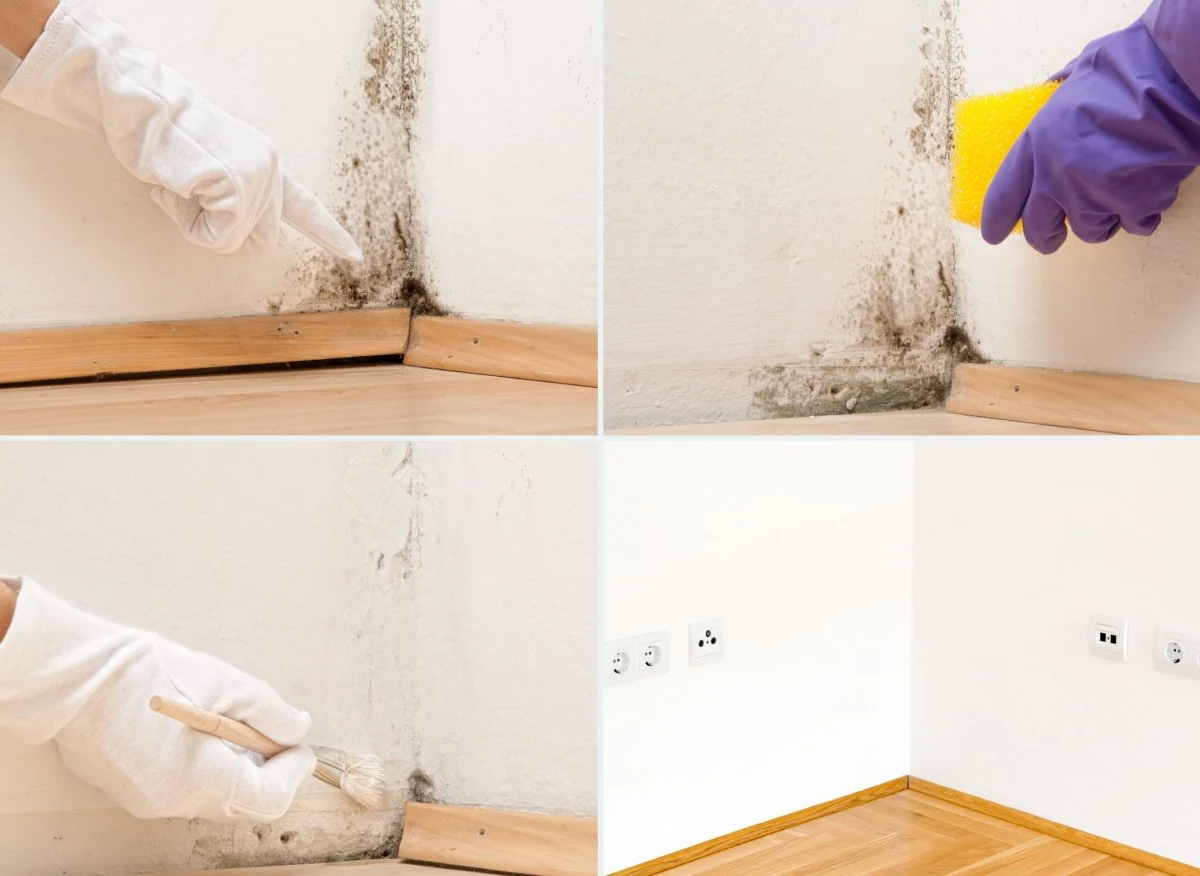 Pleśń na ścianach nie tylko brzydko wygląda, ale również jest poważnym zagrożeniem dla zdrowia człowieka