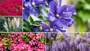 10 roślin, które zrobią wrażenie na każdym. Warto je mieć w ogrodzie.