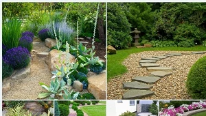 Kamienie ozdobne to oryginalna dekoracja, która będzie pasować do wielu aranżacji ogrodów.