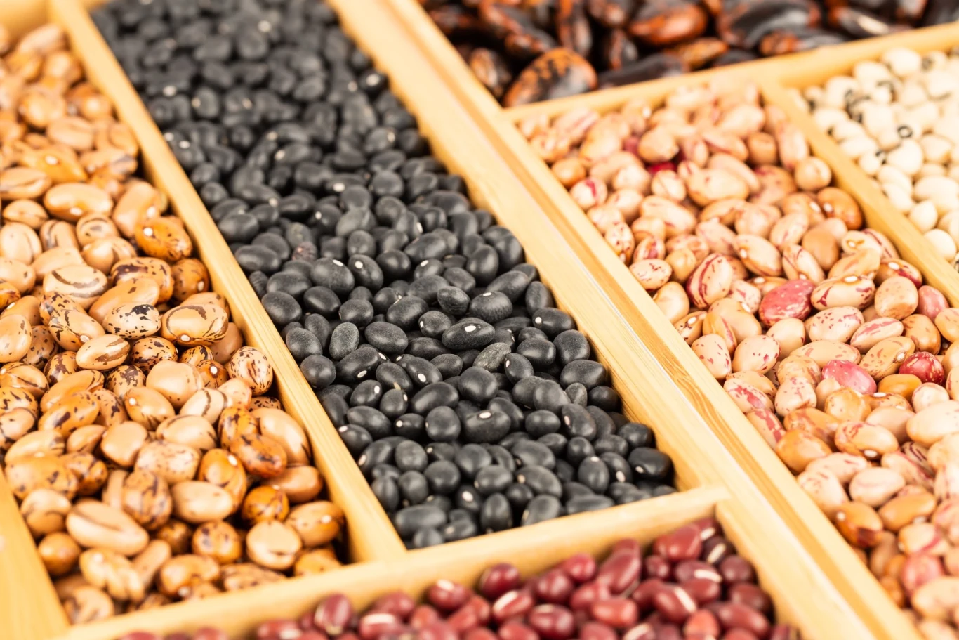 Barwa nasion fasoli ozdobnej zależy od odmiany – mogą być białe, różowe, fioletowe lub czarne