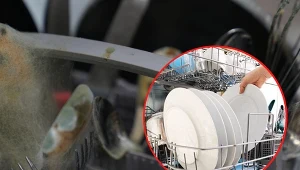 W blisko 70 proc. maszyn, wykryto dwa bardzo groźne grzyby.