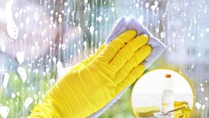 Domowych sposobów na mycie okien jest całkiem sporo.